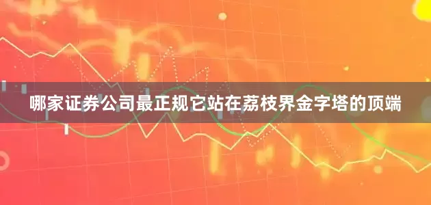 哪家证券公司最正规它站在荔枝界金字塔的顶端